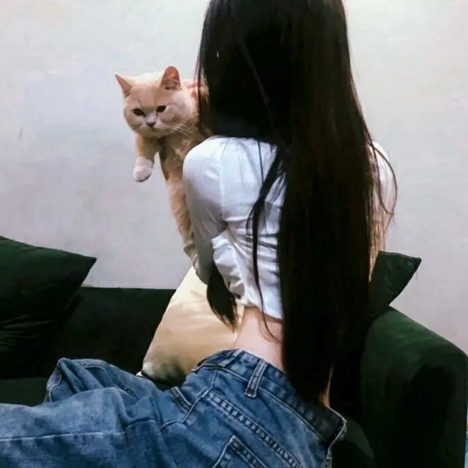 茱莉小姐